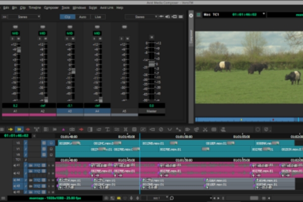 montage avid media composer